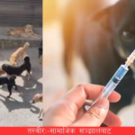 काठमाडौं महानगरले सुरु गर्‍यो  कुकुरको बन्ध्याकरणका अभियान